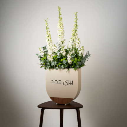 Hamad Box