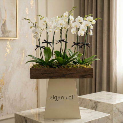 White Orchids