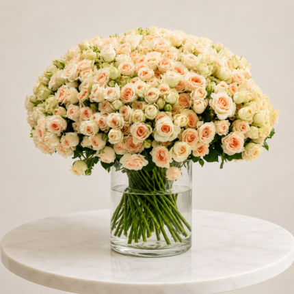 Baby Roses